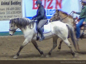 2016 MN Horse Expo featuring the Spanish Mustang